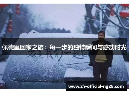 佩德里回家之旅：每一步的独特瞬间与感动时光