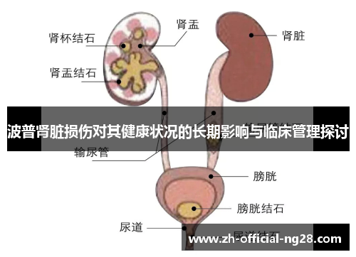 波普肾脏损伤对其健康状况的长期影响与临床管理探讨