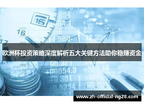 欧洲杯投资策略深度解析五大关键方法助你稳赚资金