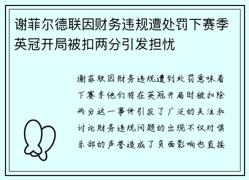 谢菲尔德联因财务违规遭处罚下赛季英冠开局被扣两分引发担忧 谢菲尔德联因财务违规遭处罚下赛季英冠开局被扣两分引发担忧